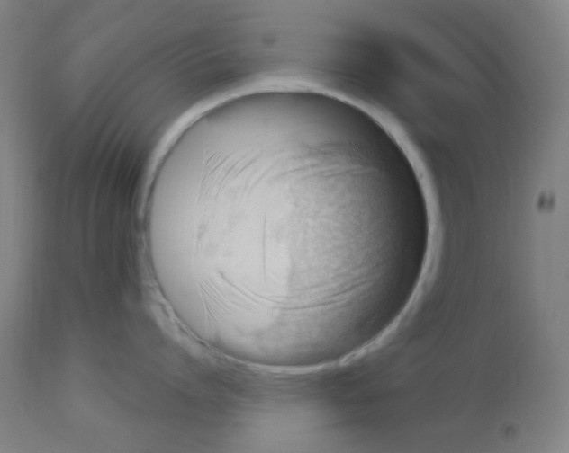 X0000113000864200910081156