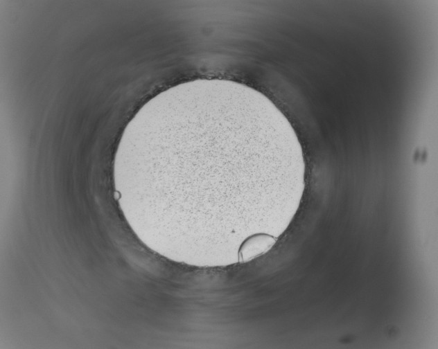 X0000113000865200910081155