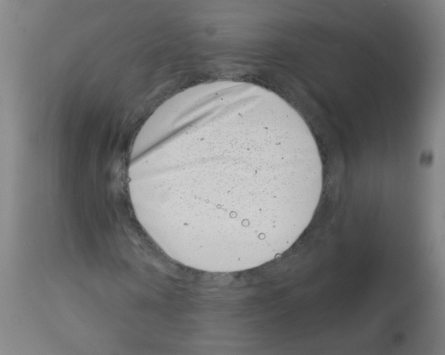 X0000113000866200910081155