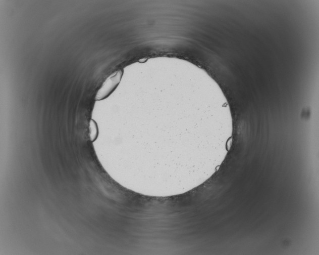 X0000113000868200910081155