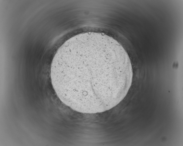 X0000113000870200910081155