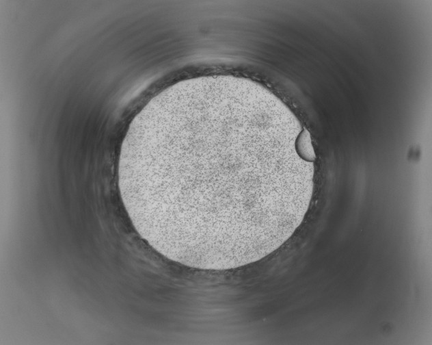 X0000113000871200910081155