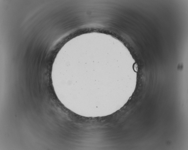 X0000113000872200910081155