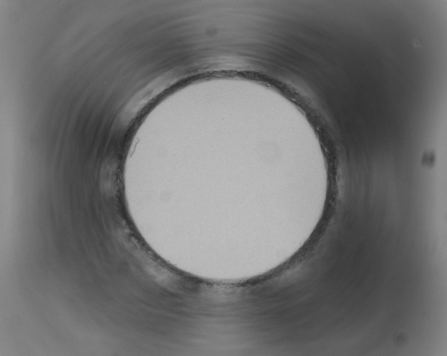 X0000113000873200910081155