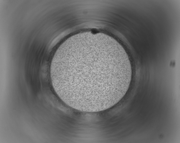 X0000113000874200910081155