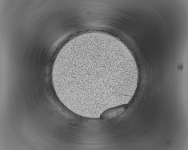 X0000113000875200910081155