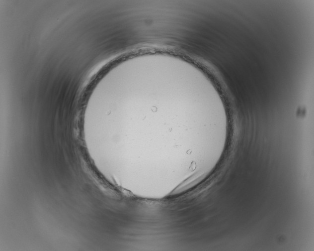 X0000113000878200910081155