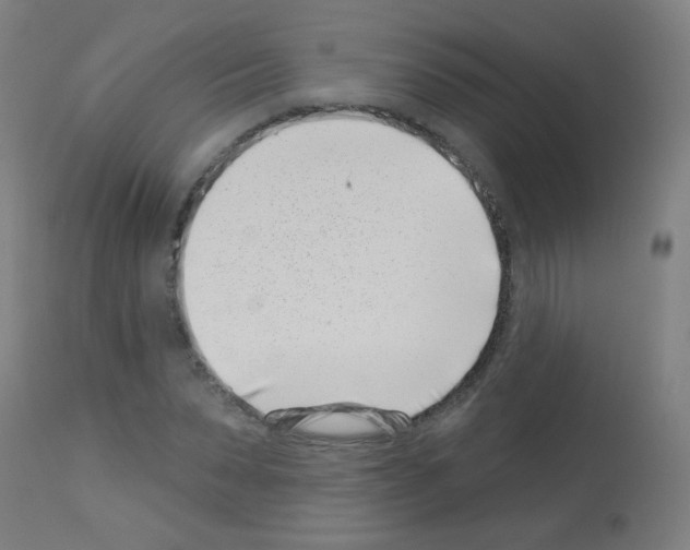 X0000113000879200910081155