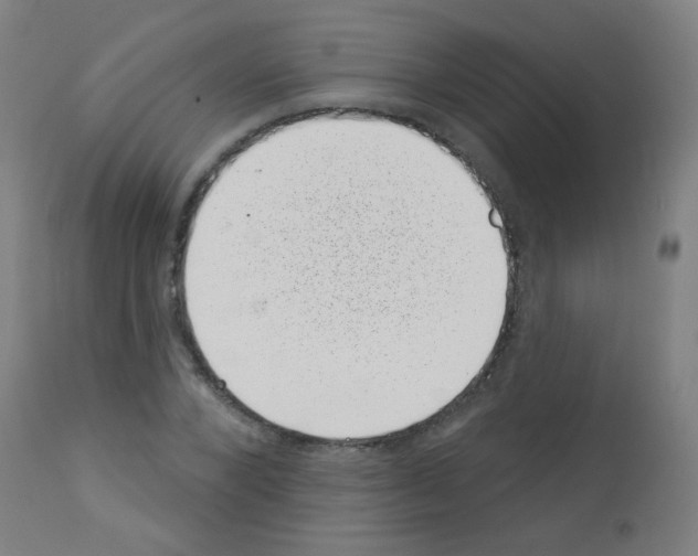 X0000113000880200910081155