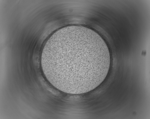 X0000113000882200910081155