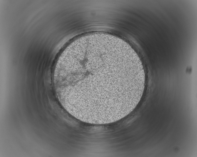 X0000113000883200910081155