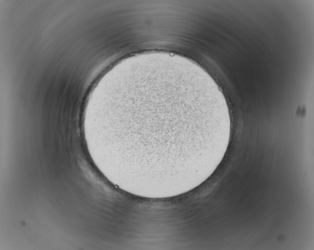 X0000113000884200910081155