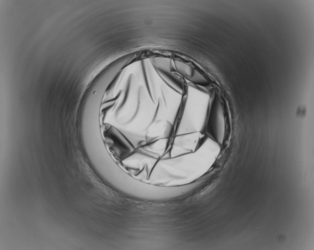 X0000113000885200910081155