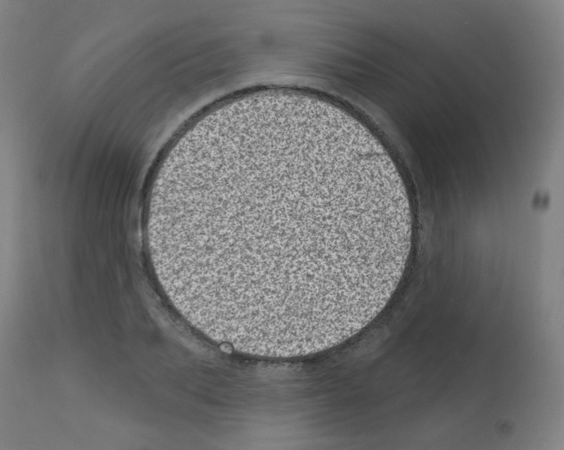 X0000113000887200910081155