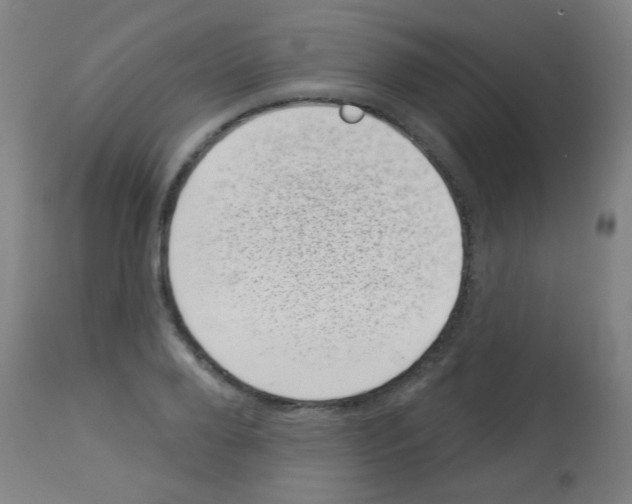 X0000113000888200910081155