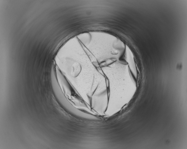 X0000113000889200910081155