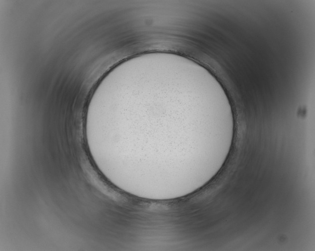 X0000113000890200910081155