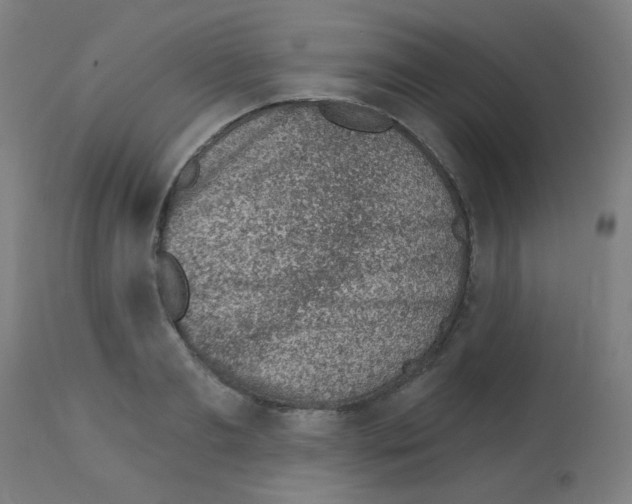 X0000113000893200910081155