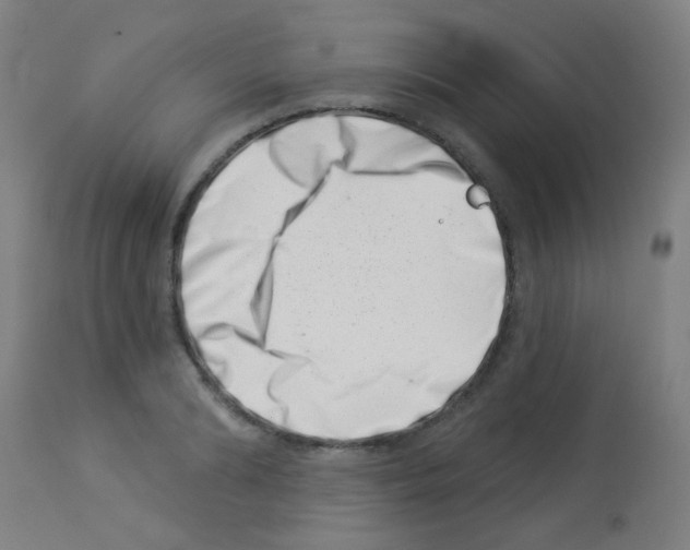 X0000113000894200910081155