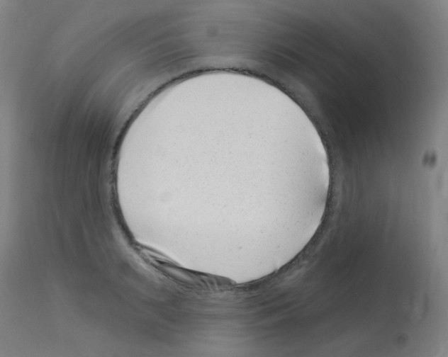 X0000113000895200910081155