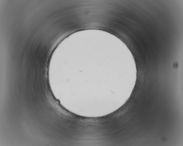 X0000113000900200910081155