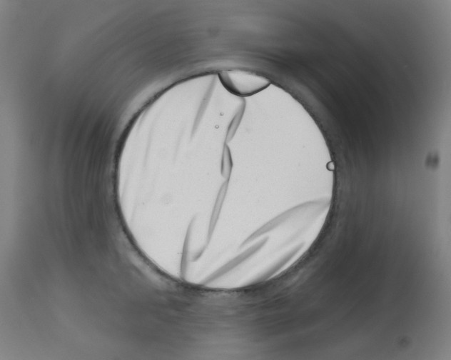 X0000113000902200910081155