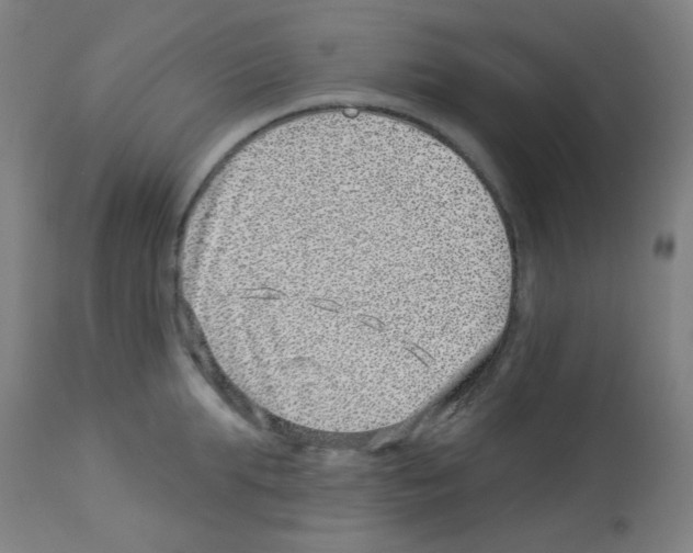 X0000113000903200910081155