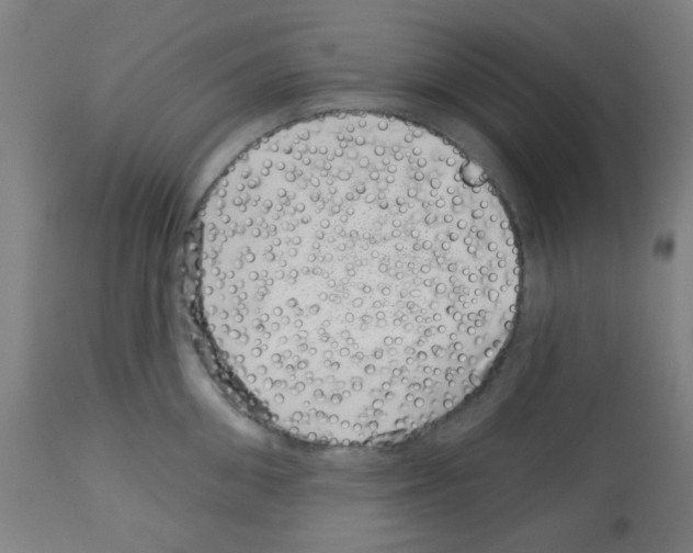 X0000113000906200910081154