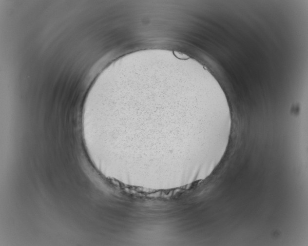 X0000113000907200910081154