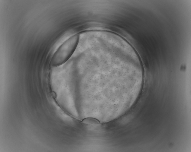 X0000113000909200910081154