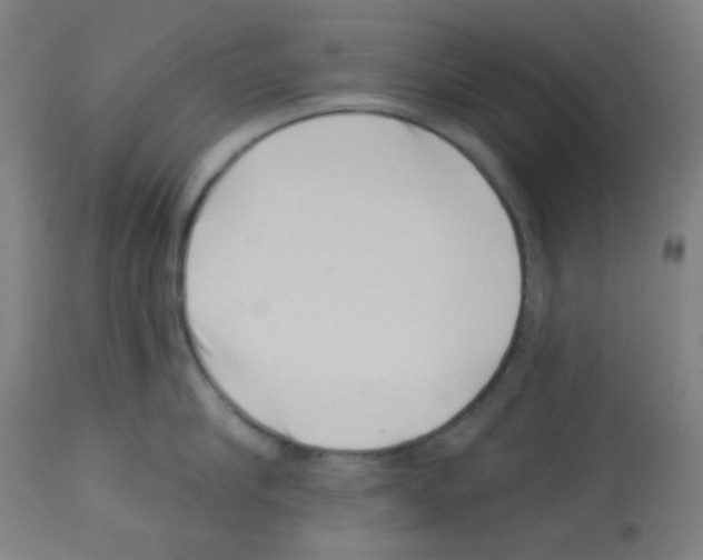 X0000113000910200910081154