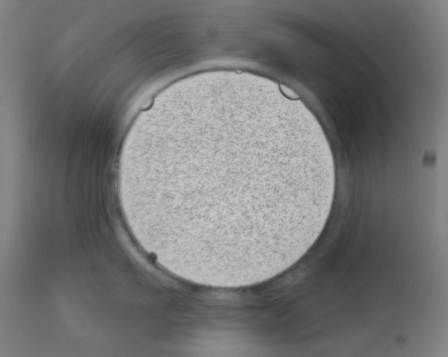 X0000113000911200910081154