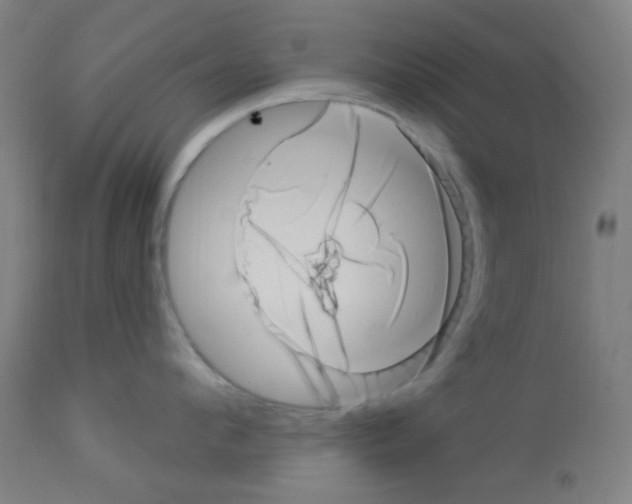 X0000113000912200910081154