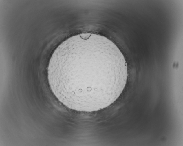 X0000113000913200910081154