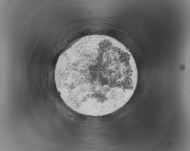 X0000113000914200910081154