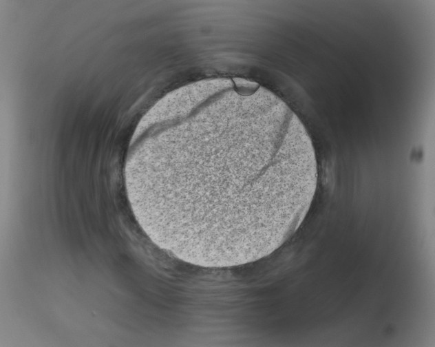 X0000113000915200910081154