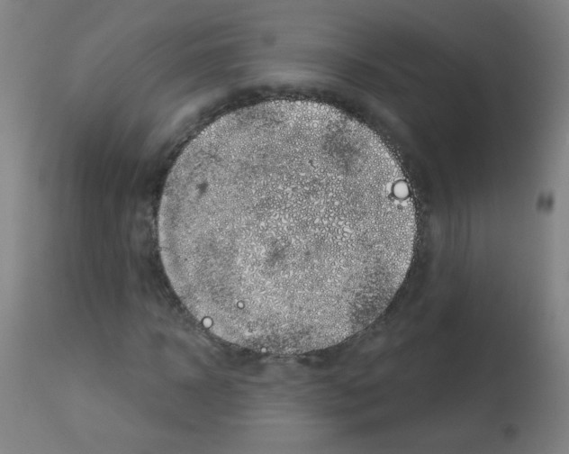 X0000113000918200910081154