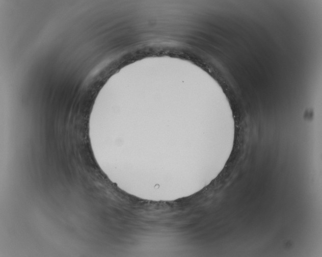 X0000113000919200910081154