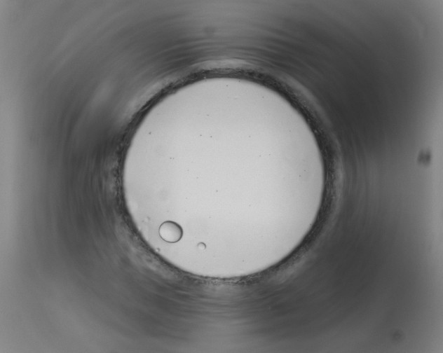 X0000113000921200910081154