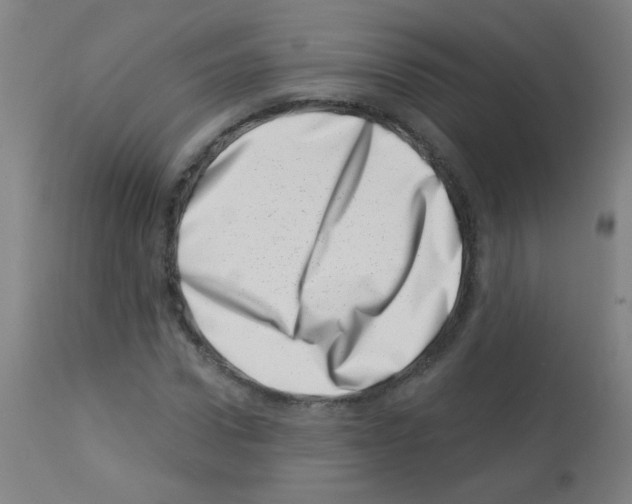 X0000113000922200910081154