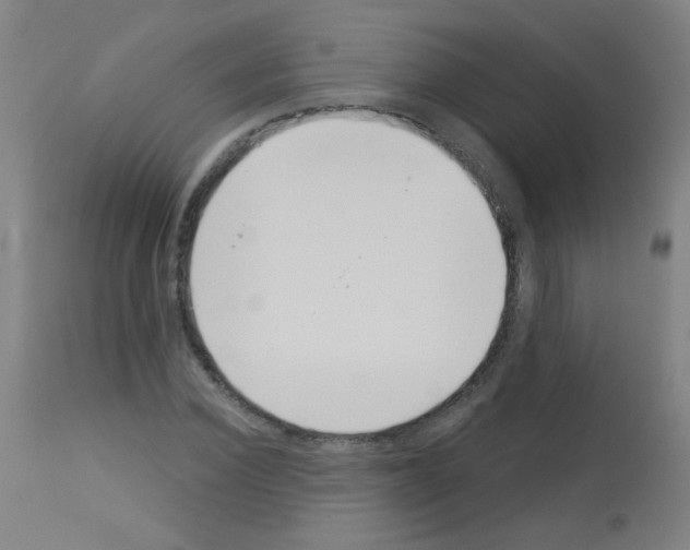 X0000113000924200910081154