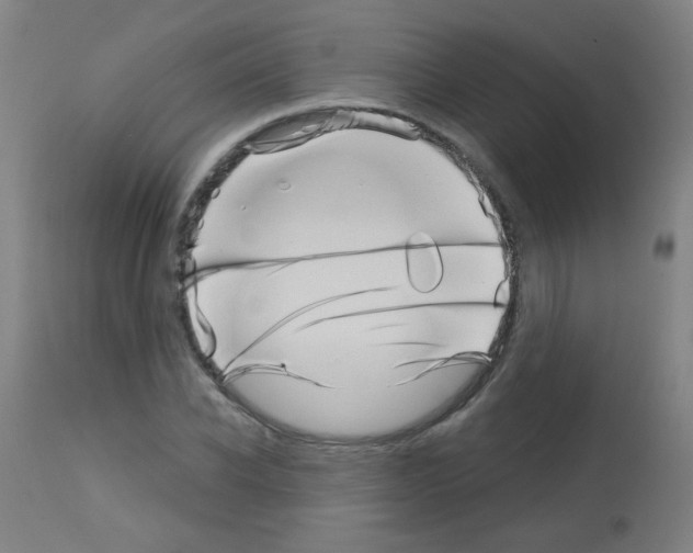 X0000113000926200910081154