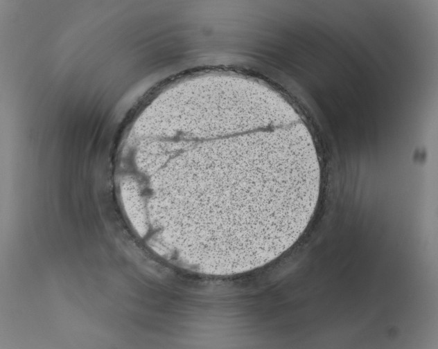 X0000113000927200910081154