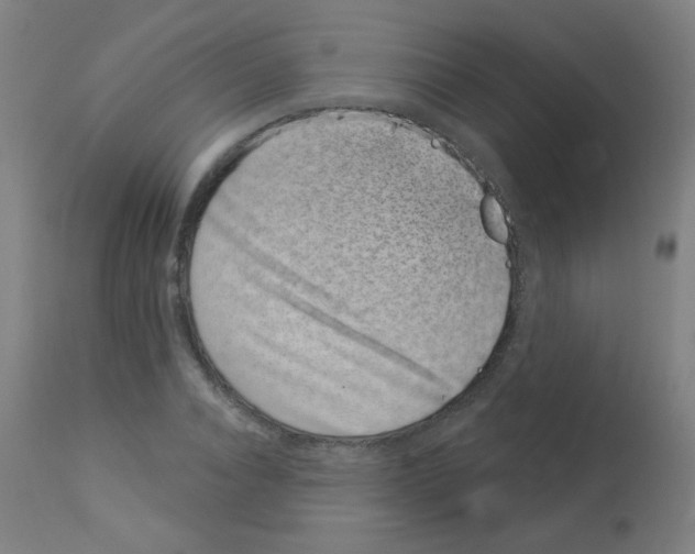 X0000113000928200910081154