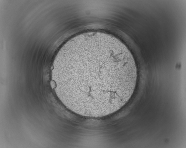 X0000113000929200910081154