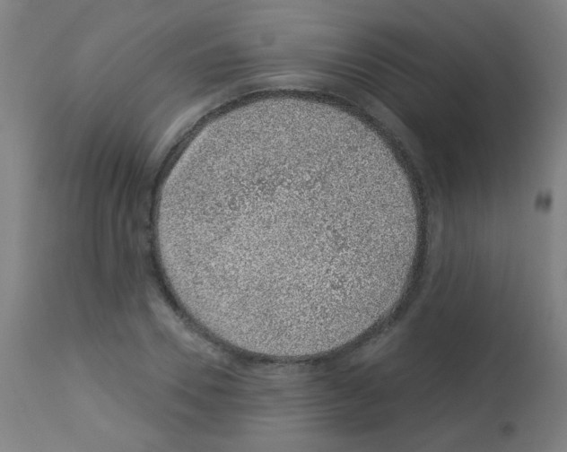 X0000113000930200910081154