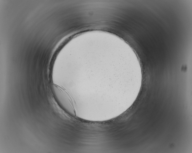 X0000113000932200910081154