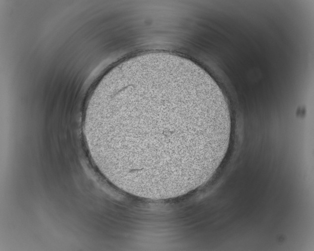 X0000113000933200910081154