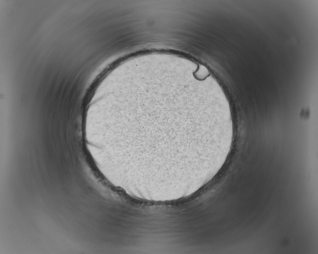 X0000113000934200910081154