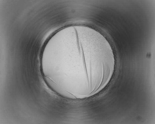 X0000113000936200910081154